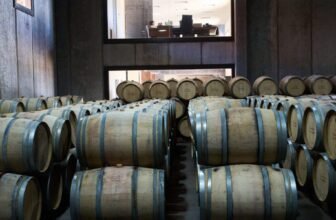 Argentines once drank 90 liters of wine a year. Now they’re down to 15 — and 1,100 vineyards have already closed